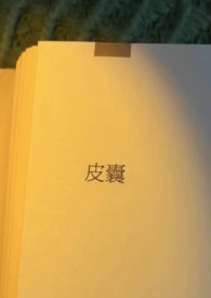 皮诺曹观后感